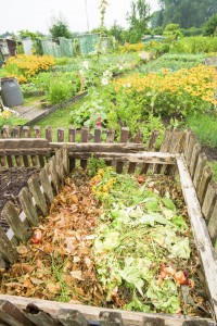 pallet compost bin 2