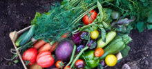 basket of fresh vegtables